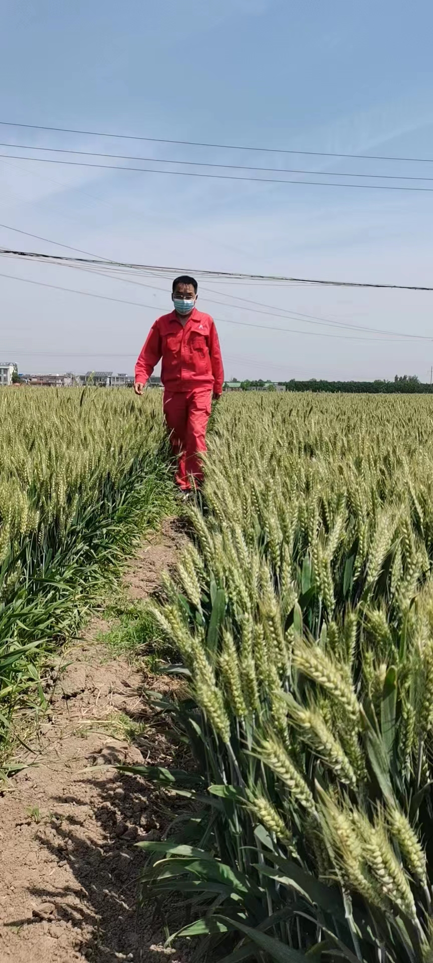 用心守護(hù)管道安全,全力保障豫北能源“生命線”——安彩能源開展安全檢查百里行主題黨日活動(dòng)